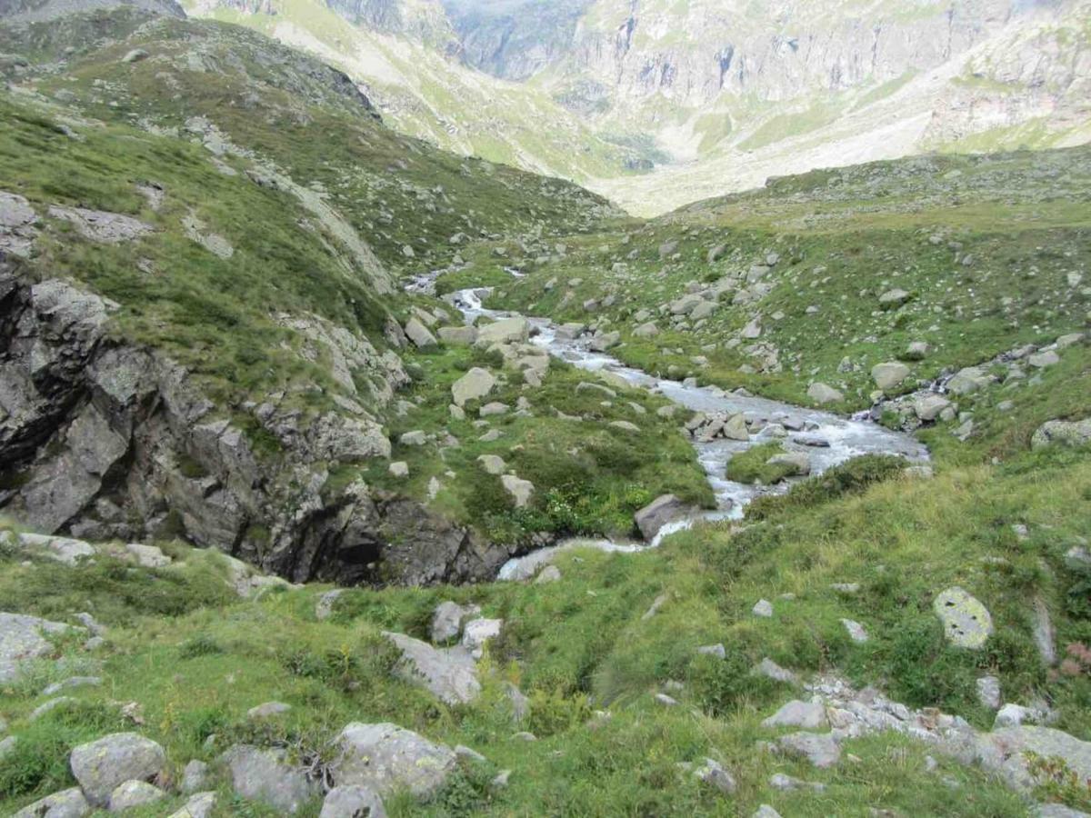 Bilocale A Due Passi Dal Gran Paradiso Locana Exterior photo